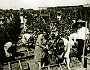 vendemmia 1950